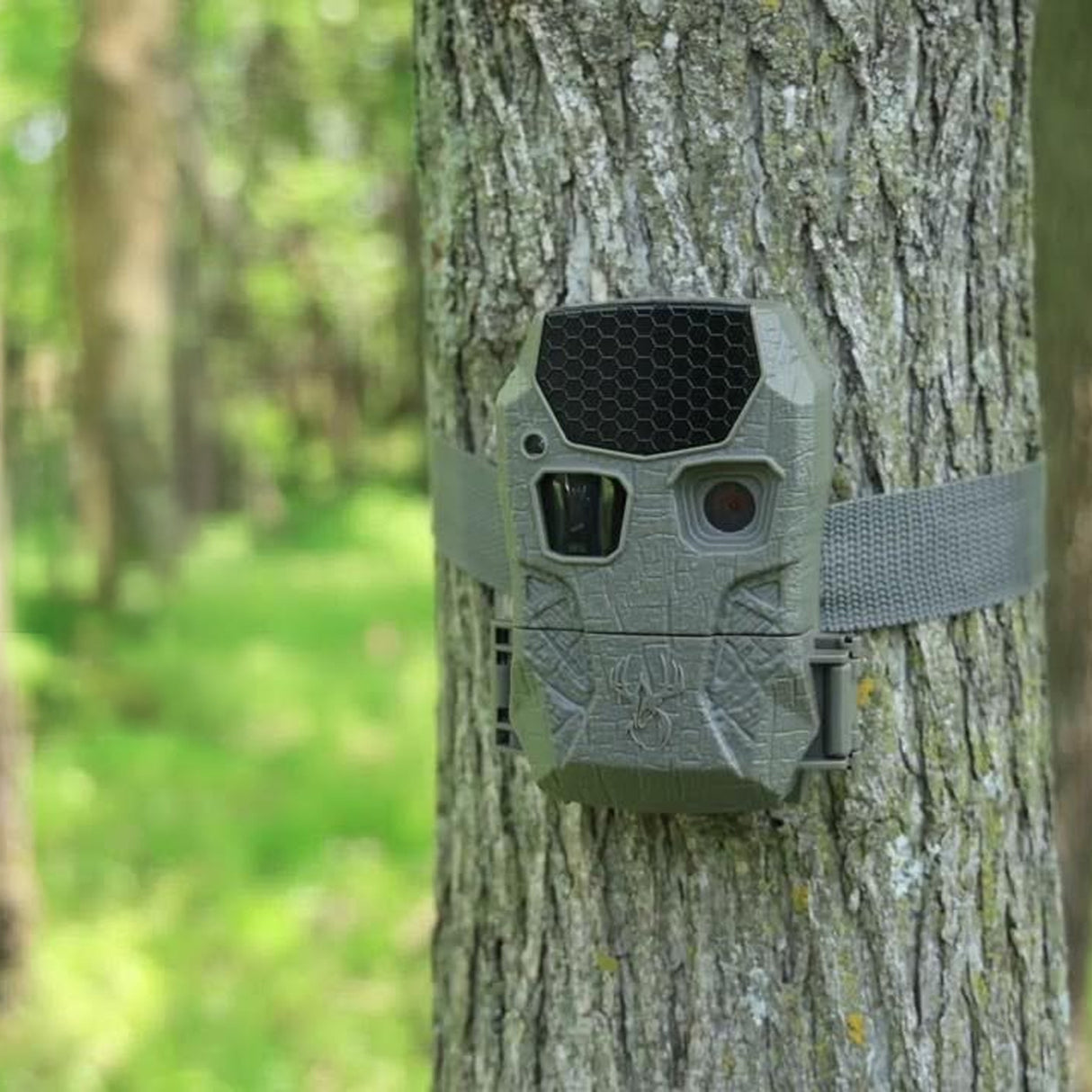Wildgame Innovations Kicker 2.0 Lightsout Trail Camera with 18MP Resolution and 720p Video Bundle
