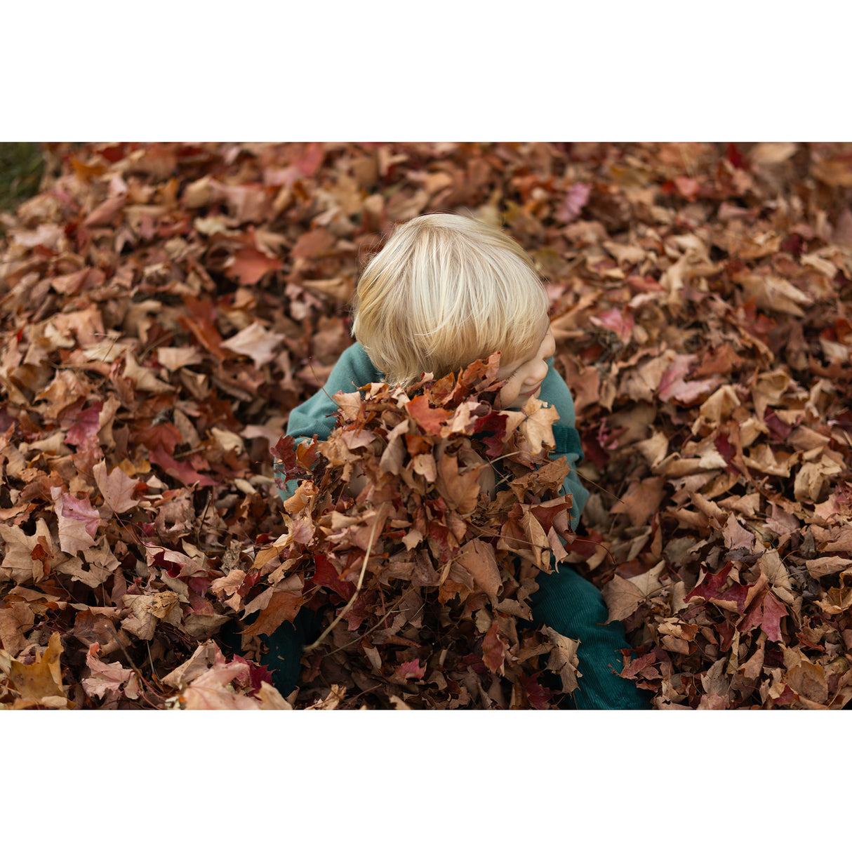 Sigma 56mm F1.4 DC DN Contemporary Lens (Canon RF-Mount)