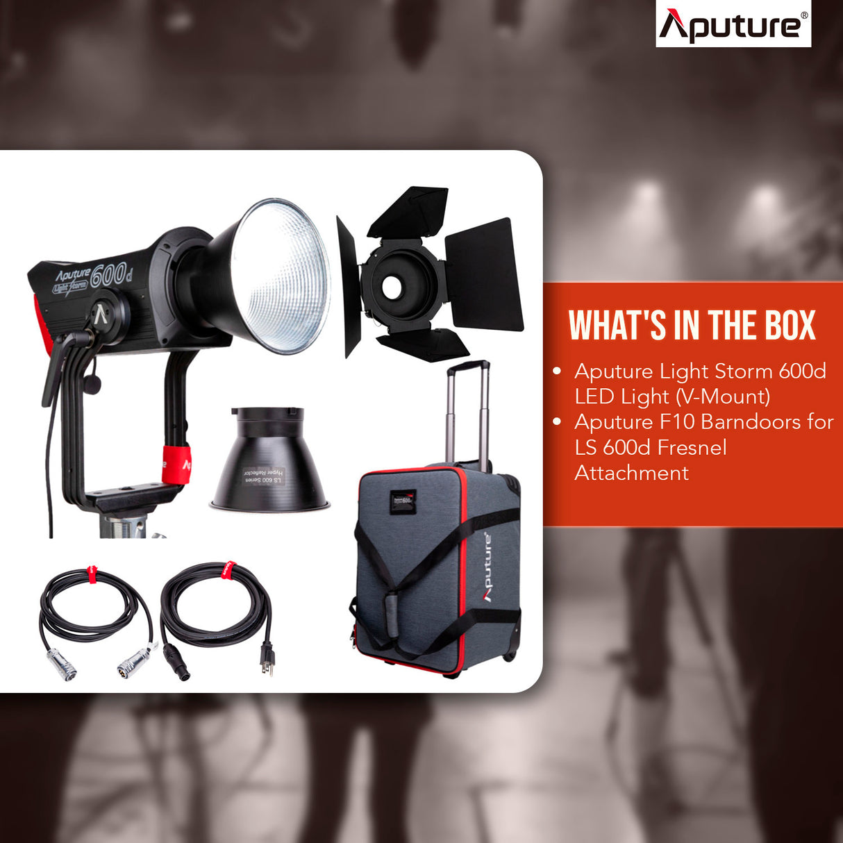 Aputure Light Storm 600d LED Light (V-Mount) and Aputure F10 Barndoors Bundle