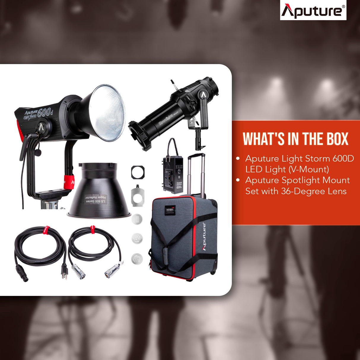 Aputure Light Storm 600D LED Light (V-Mount) with Aputure 36-Degree Lens Spotlight Mount Set Bundle