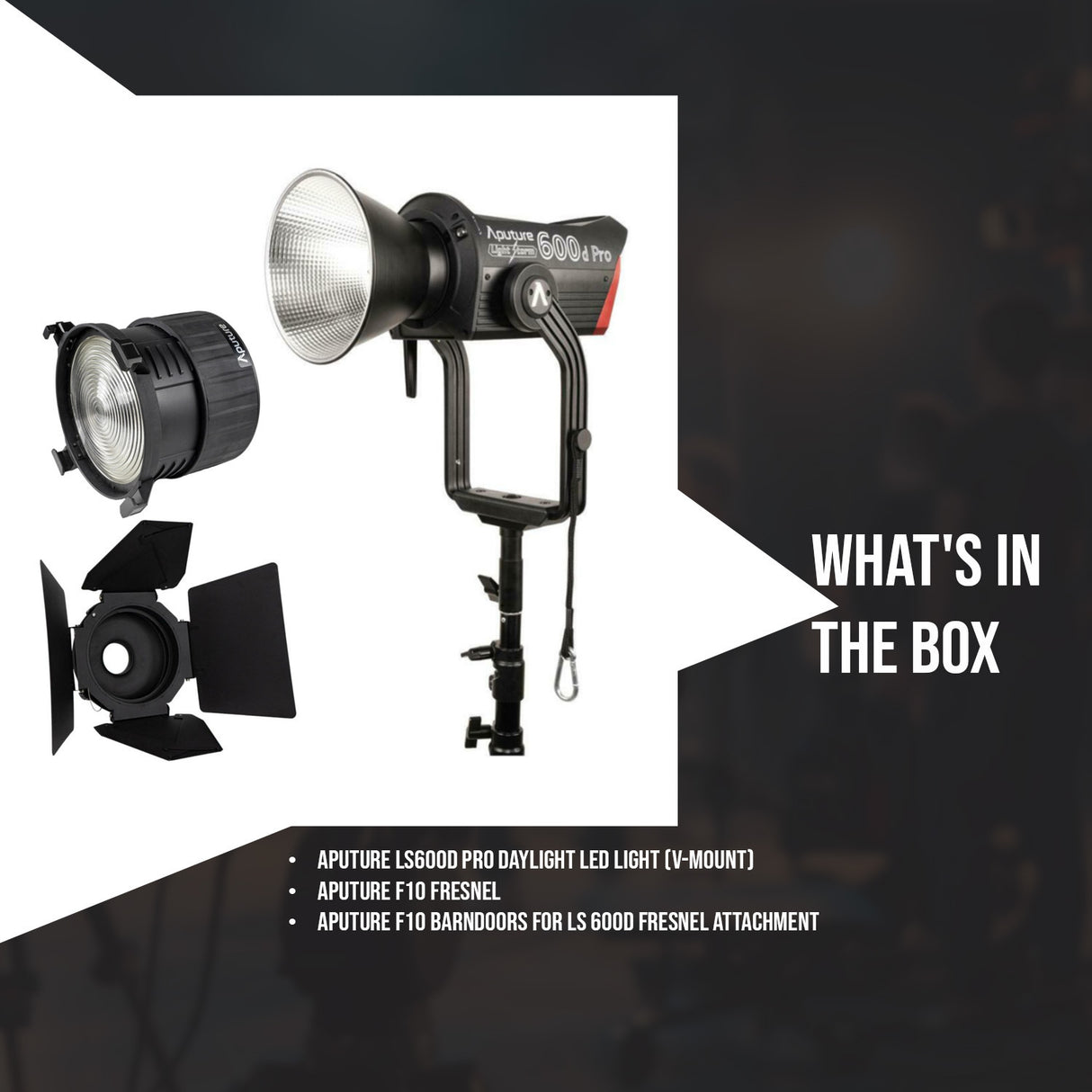 Aputure LS600D Pro Daylight LED Light (V-Mount) with Aputure F10 Fresnel and F10 Barndoors Bundle
