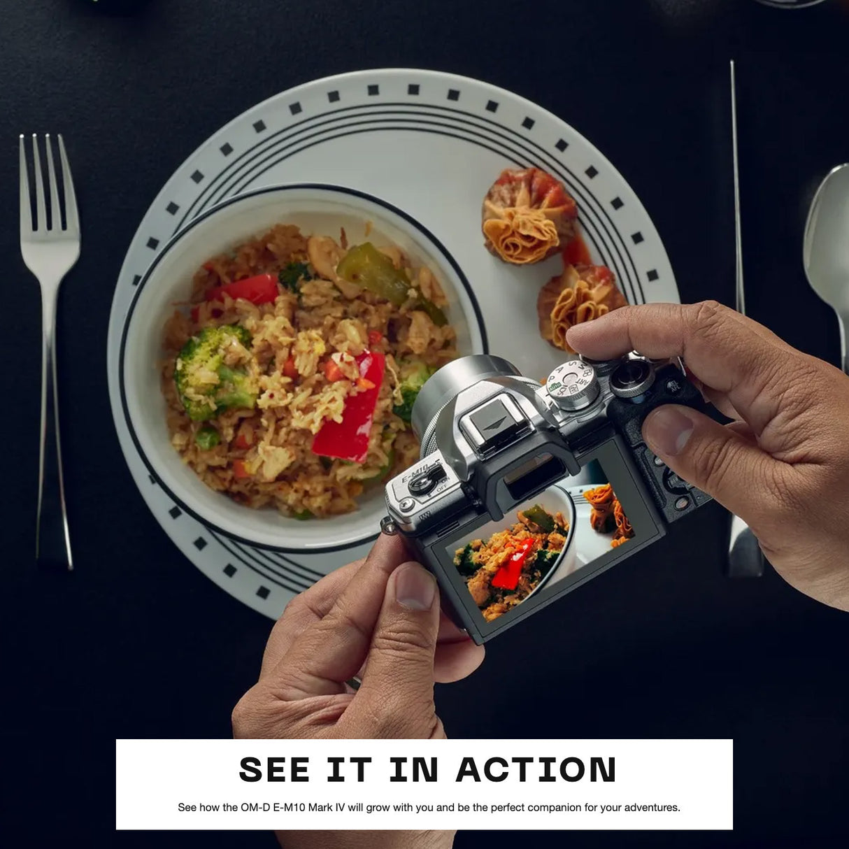 Olympus OM-D E-M10 Mark IV Camera Body (Silver)