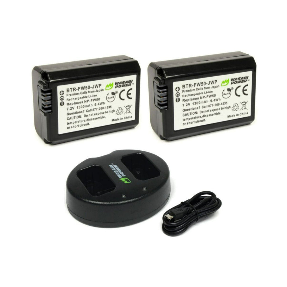 Sony Alpha a6100 APS-C Mirrorless Camera with 16-50mm and 55-210mm Lens Bundle