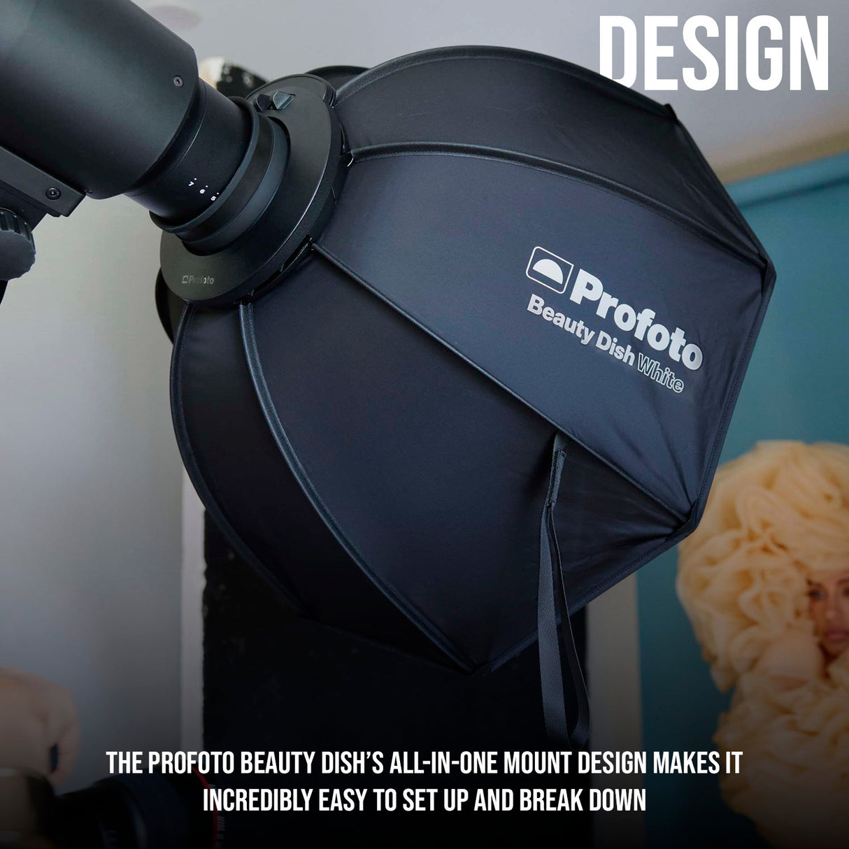 Profoto Beauty Dish for Portraits and Fashion with Speedring and Circular Front Edge (Gray) Bundle