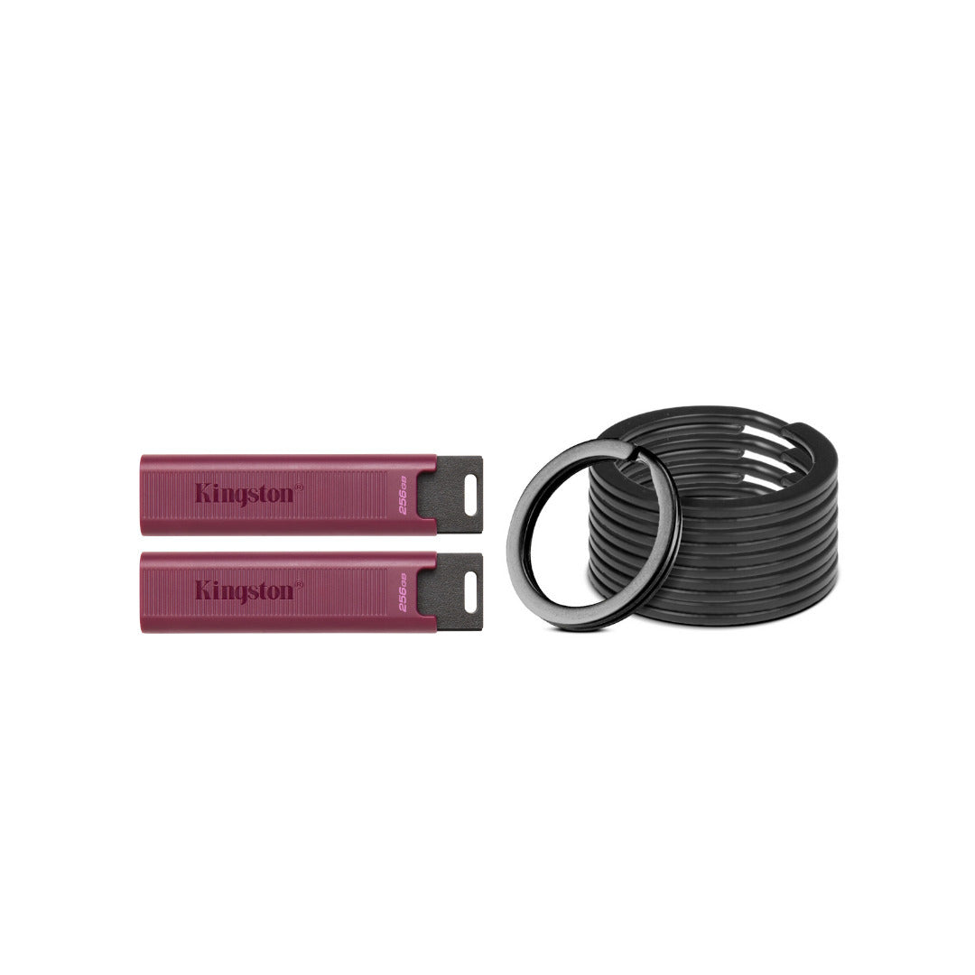 Kingston DataTraveler Max Type-A 256GB USB Flash Drive (2-Pack) with Keychain Rings Bundle