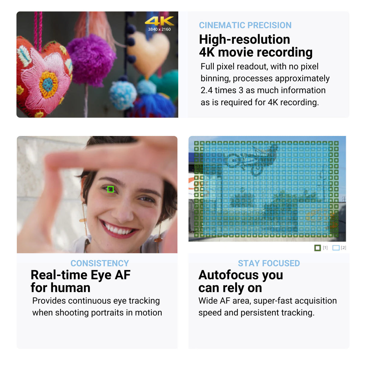 Sony Alpha a6100 24.2MP APS-C Mirrorless Camera and 16-50mm, 55-210mm Lens with Camera Bag Bundle