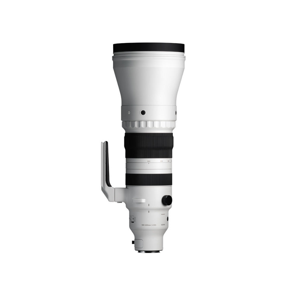 Sigma 300-600mm f/4 DG OS Sports Lens (L Mount)