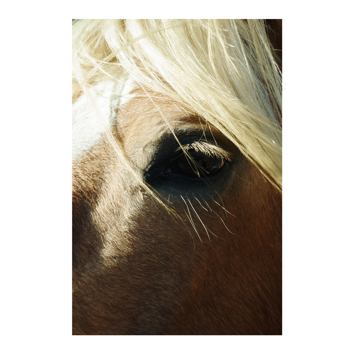 Sigma 16-300mm F3.5 - 6.7 DC OS Contemporary Lens (Sony E-Mount)