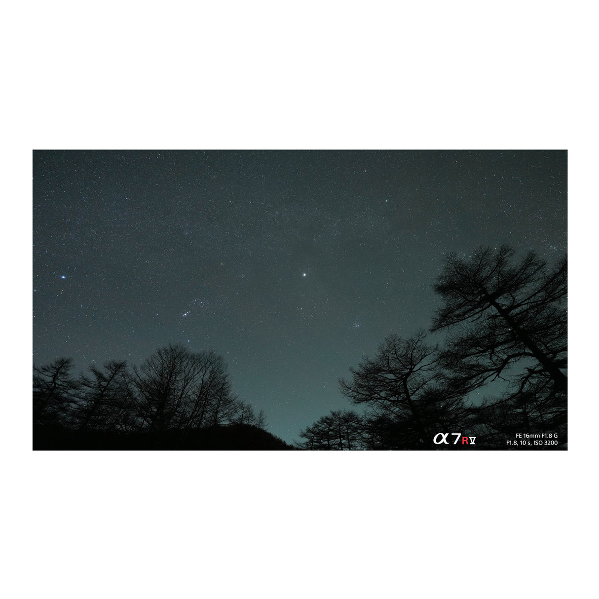 Sony FE 16mm f/1.8 G Lens