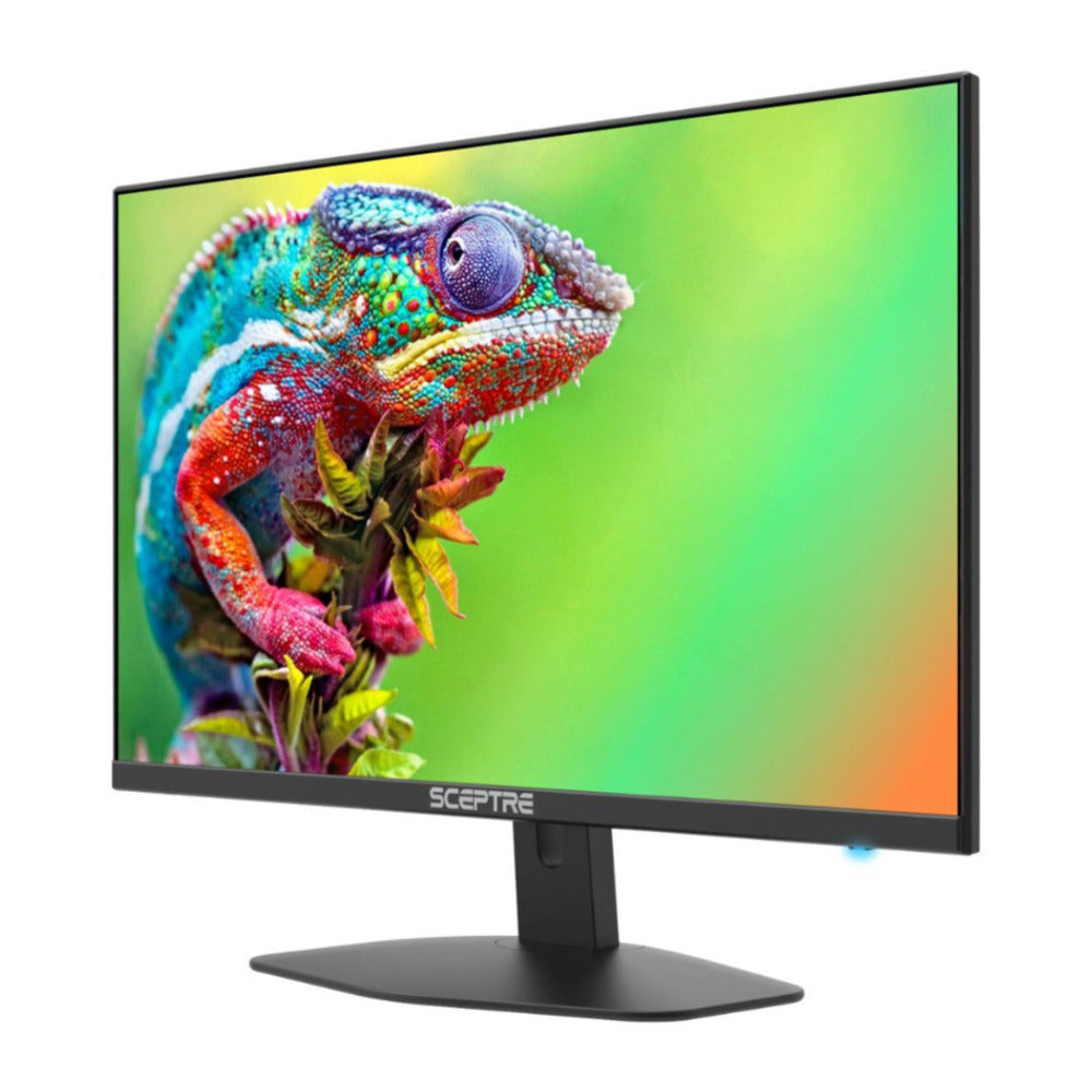 Sceptre E248W-FW100T 24-Inch Full HD 100Hz LED Gaming Monitor with AMD FreeSync (Black)