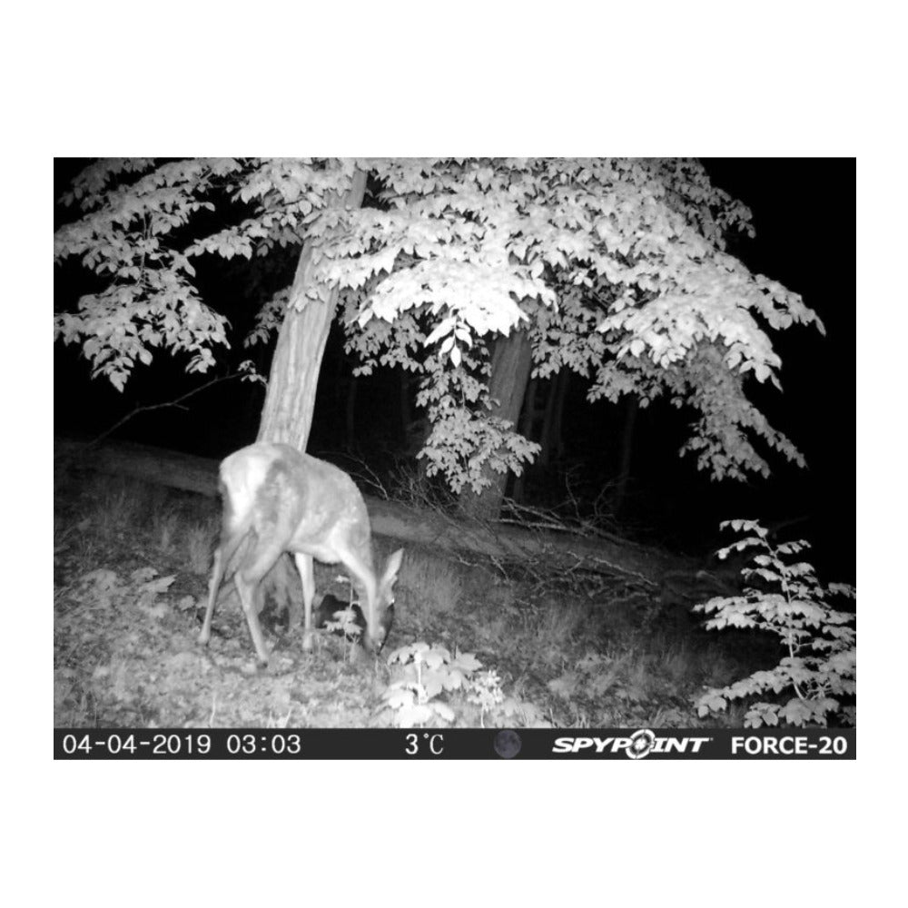 Spypoint FORCE-20 Trail Camera For Beginners With 16 GB SD Card (Brown)