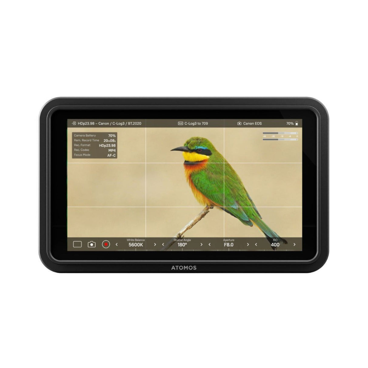 Atomos Shinobi II 5-Inch HDR Camera Monitor with Universal Accessory for 5-Inch and 7-Inch Monitors