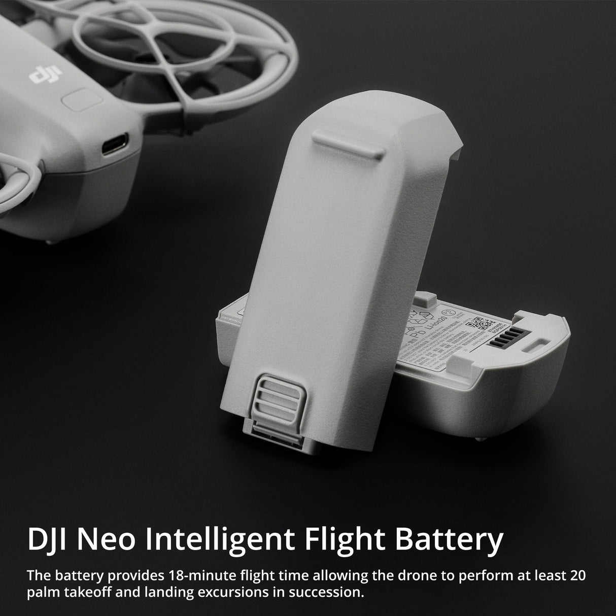 DJI Neo Intelligent Flight Battery (2-Pack) with Weatherproof Hard Case Bundle