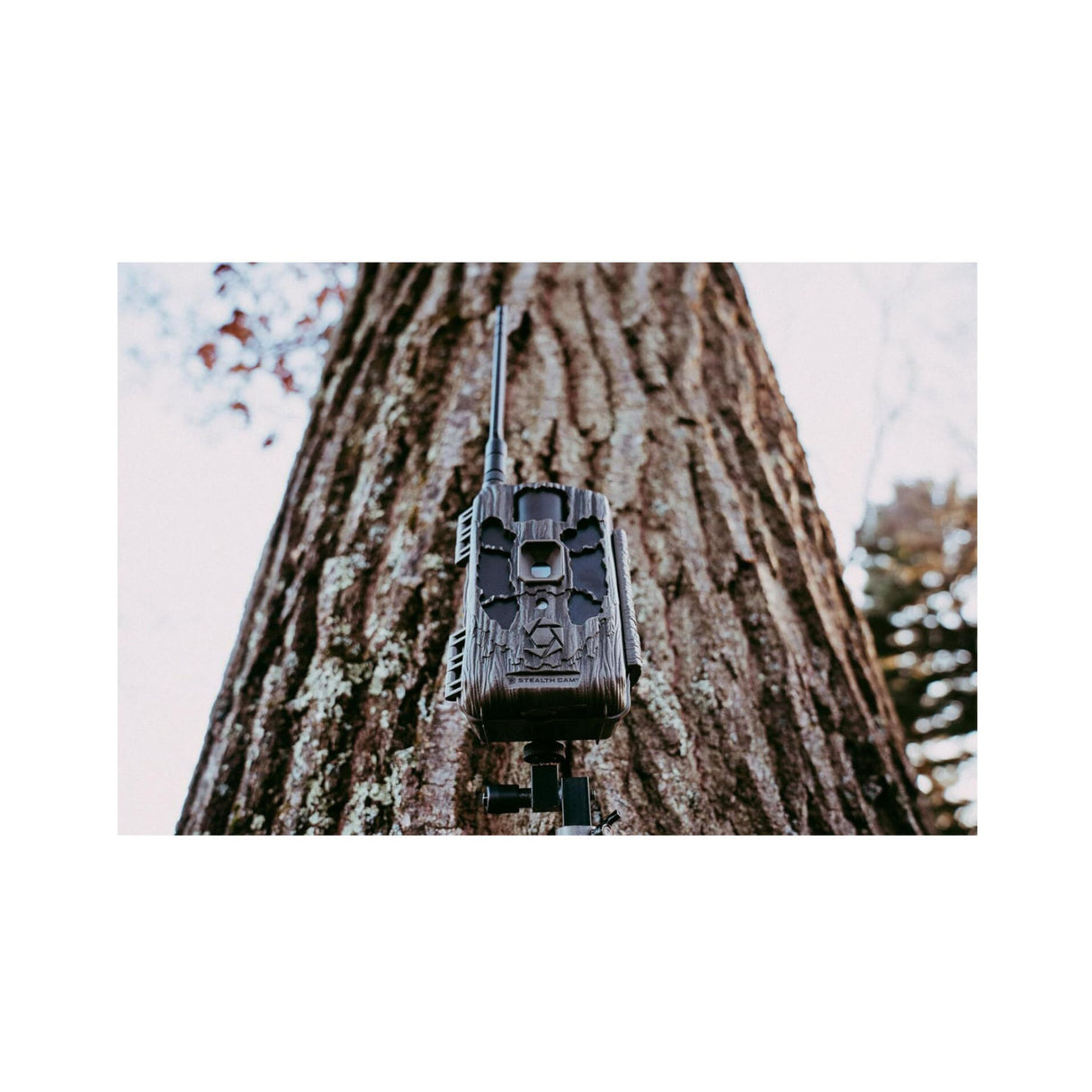 Stealth Cam DECEPTOR MAX 2.0 Trail Camera (Brown) with 32 GB Memory Card and Card Reader (4 Pack)