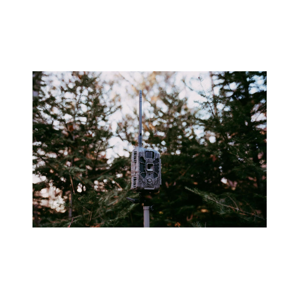 Stealth Cam DECEPTOR MAX 2.0 Trail Camera (Brown) with 32 GB Memory Card and Card Reader (4 Pack)