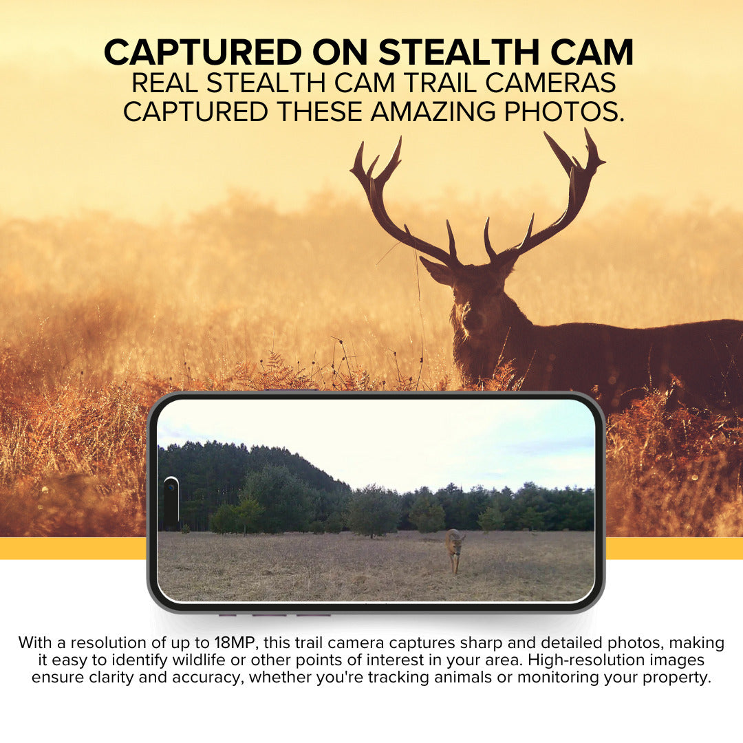 Stealth Cam Browtine 18MP Digital Trail Camera Combo with SD Card Reader (2 Pack)
