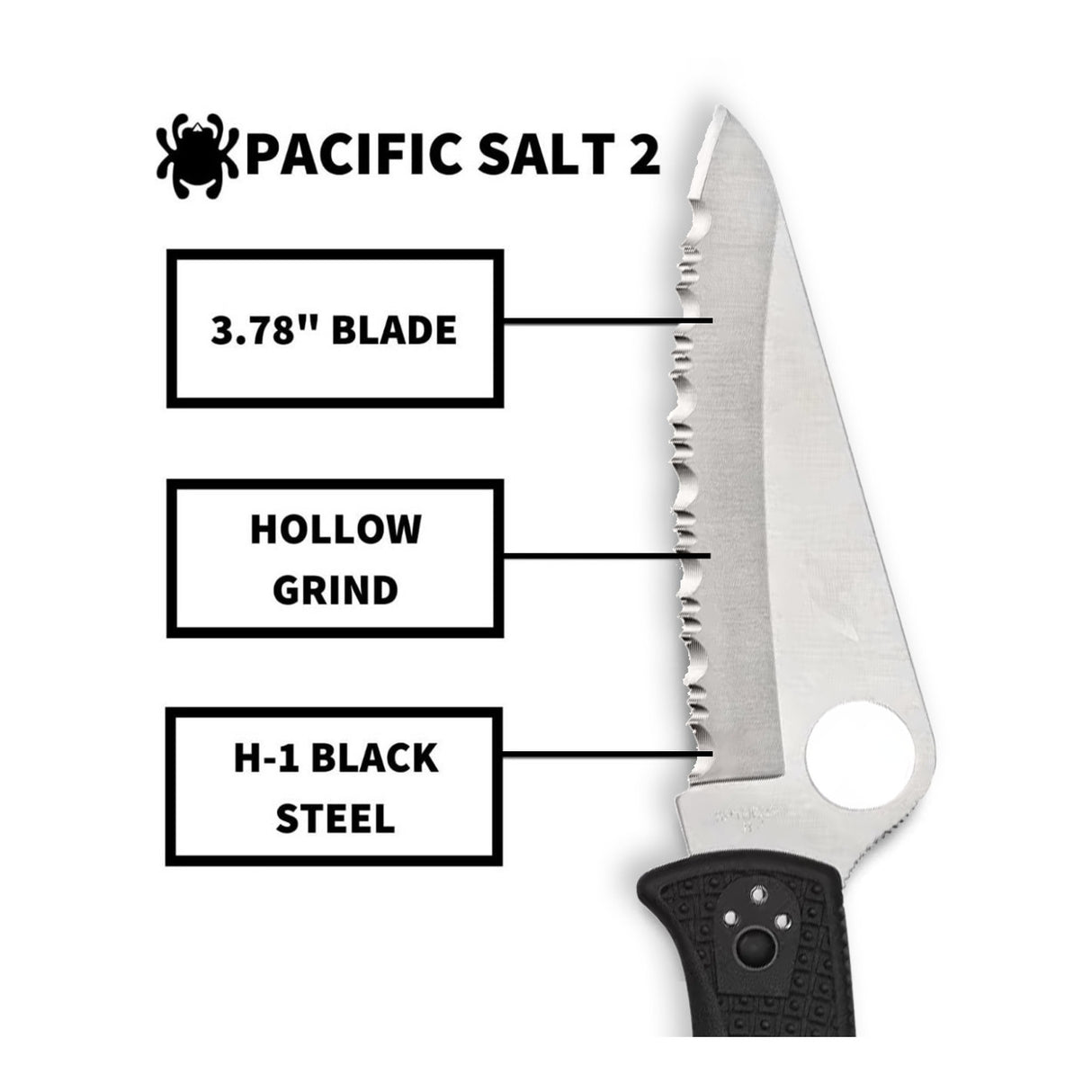 Spyderco Pacific Salt 2, 8.72-Inch Lightweight Folding Knife with Black Handle