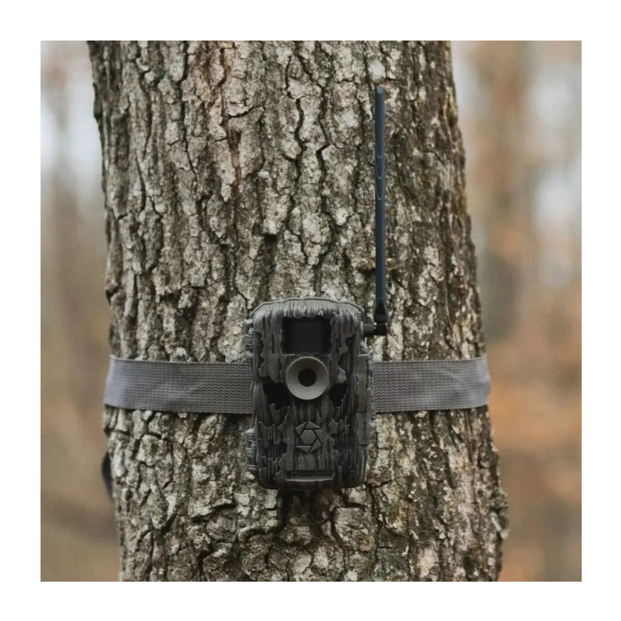 Stealth Cam Fusion MAX 2.0 36MP Cellular Trail Cam with 32GB Card and Reader