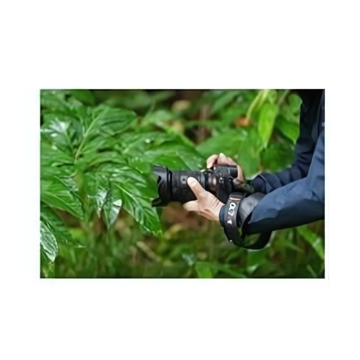 Sony a7R V Mirrorless Camera with 200-600mm f/5.6-6.3 G OSS Lens Bundle