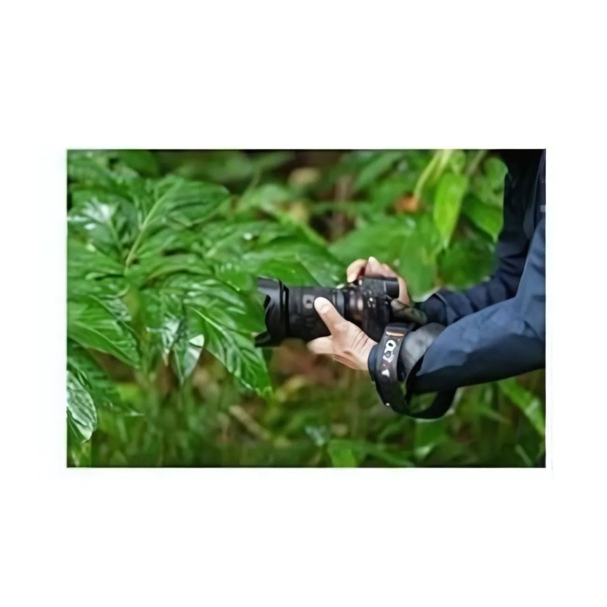 Sony a7R V 61MP Full-Frame Mirrorless Camera with 24-70mm f/2.8 GM Lens Bundle