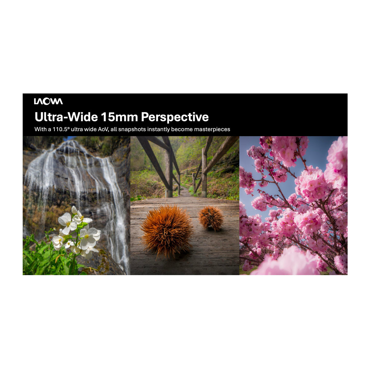 Laowa 15mm f/4.5 0.5X Wide Angle Macro (Auto Aperture) for Canon EF Mount