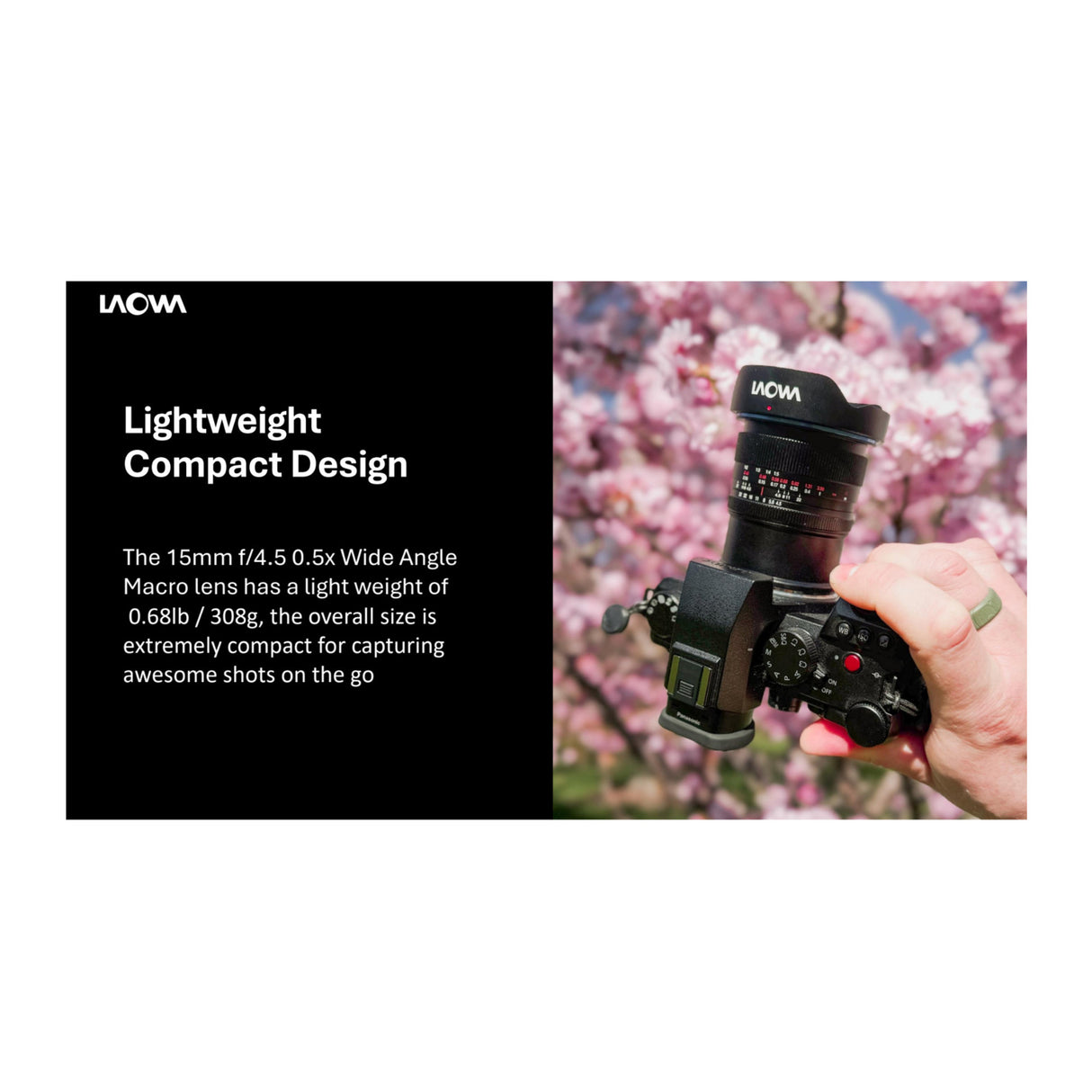 Laowa 15mm f/4.5 0.5X Wide Angle Macro (Auto Aperture) for Canon EF Mount