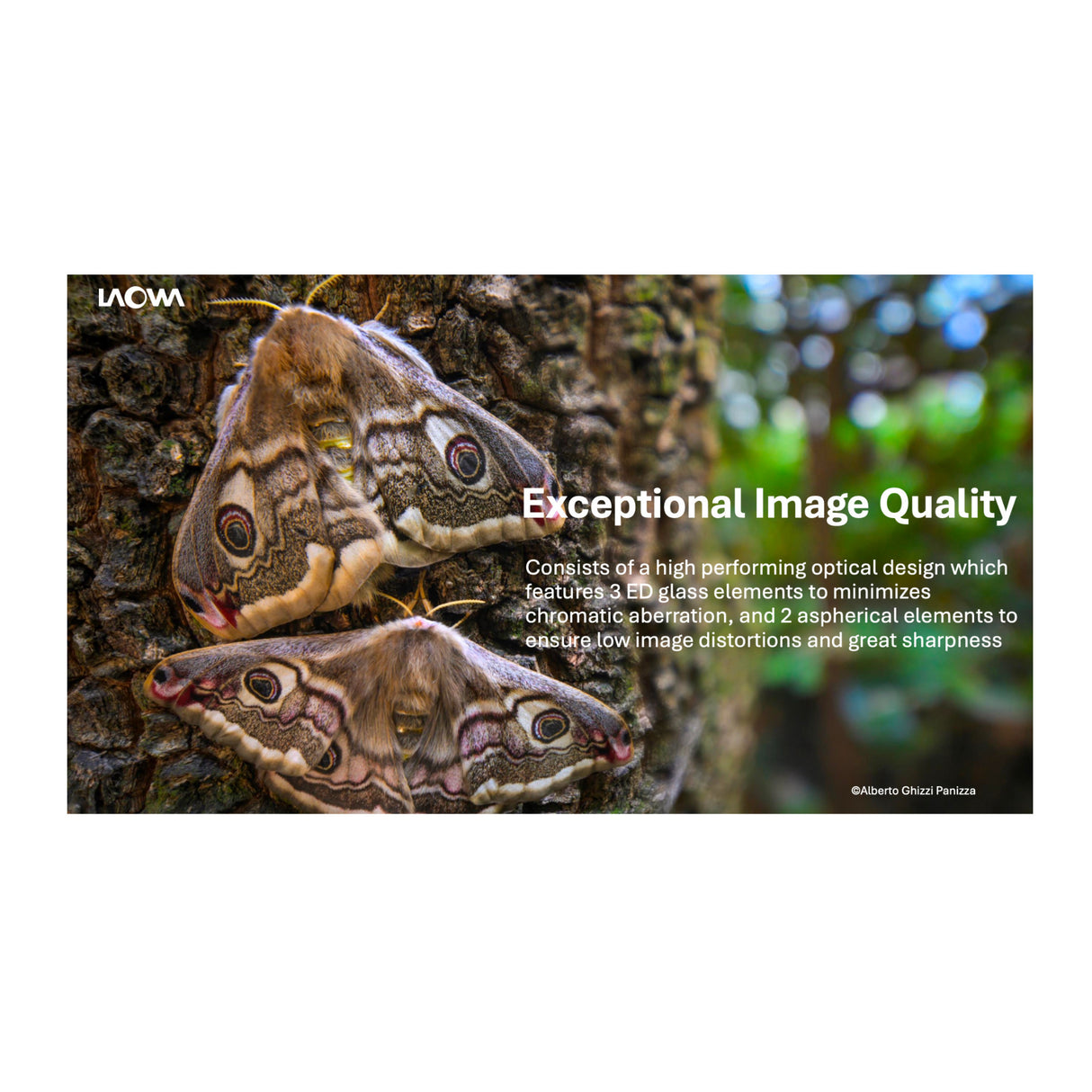 Laowa 15mm f/4.5 0.5X Wide Angle Macro (Auto Aperture) for Canon EF Mount