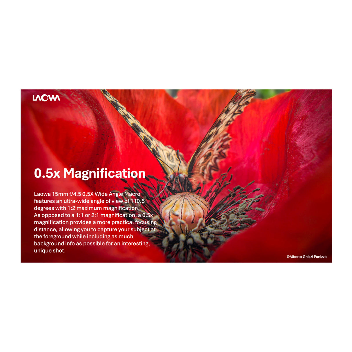 Laowa 15mm f/4.5 0.5X Wide Angle Macro (Auto Aperture) for Canon EF Mount