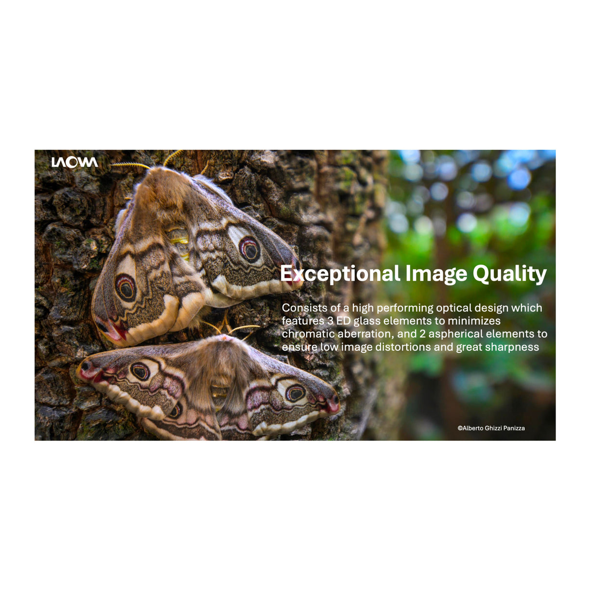 Laowa 15mm f/4.5 0.5X Wide Angle Macro (Auto Aperture) for Sony E-Mount