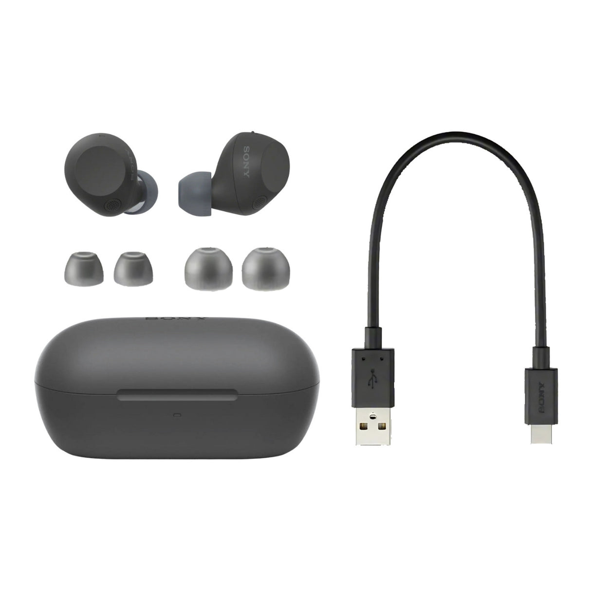 Sony Truly Wireless Noise-Canceling Earbuds (Black) Bundle with Case