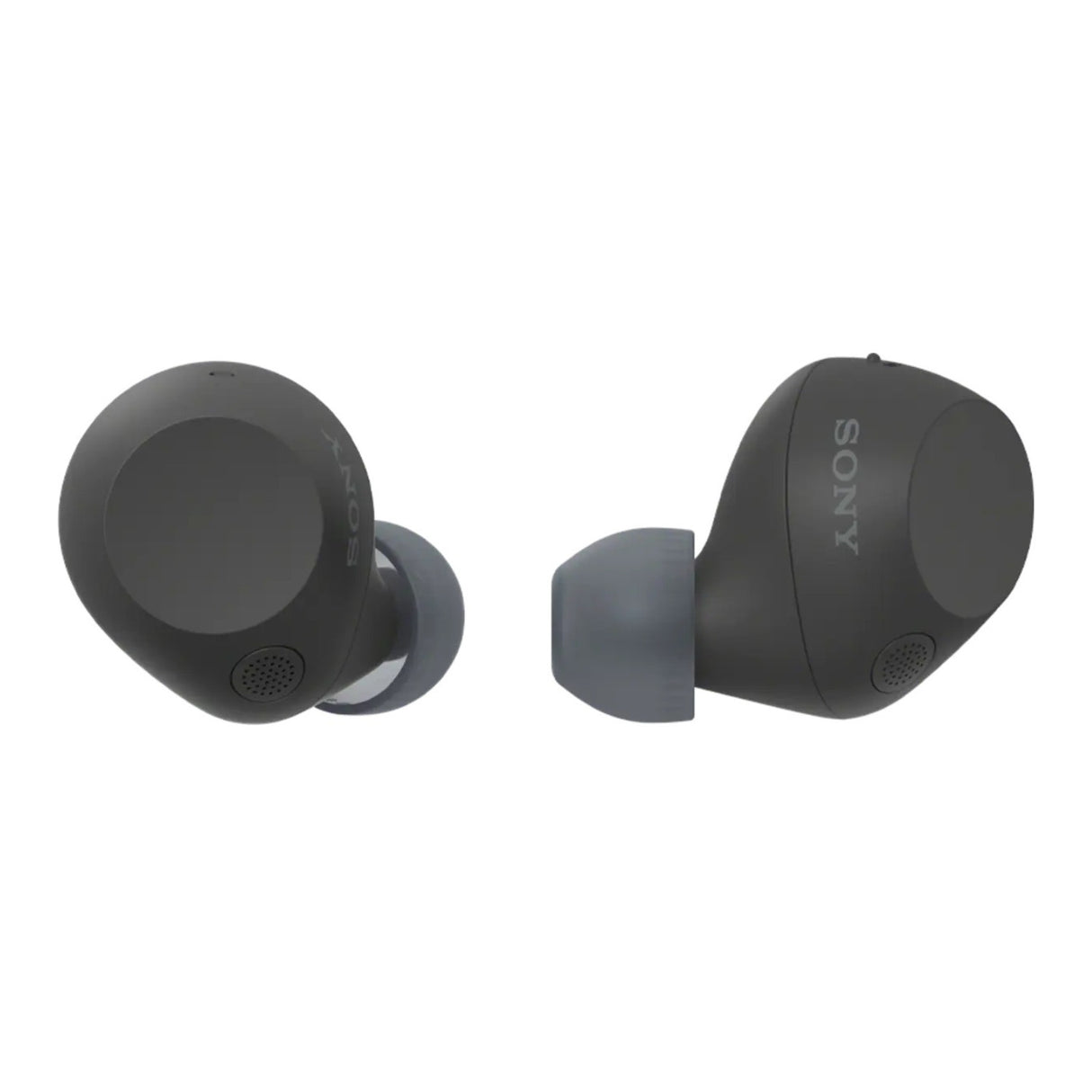 Sony Wireless Noise-Cancelling Earbuds (Black) Bundle with Ear Tips (2 Items)