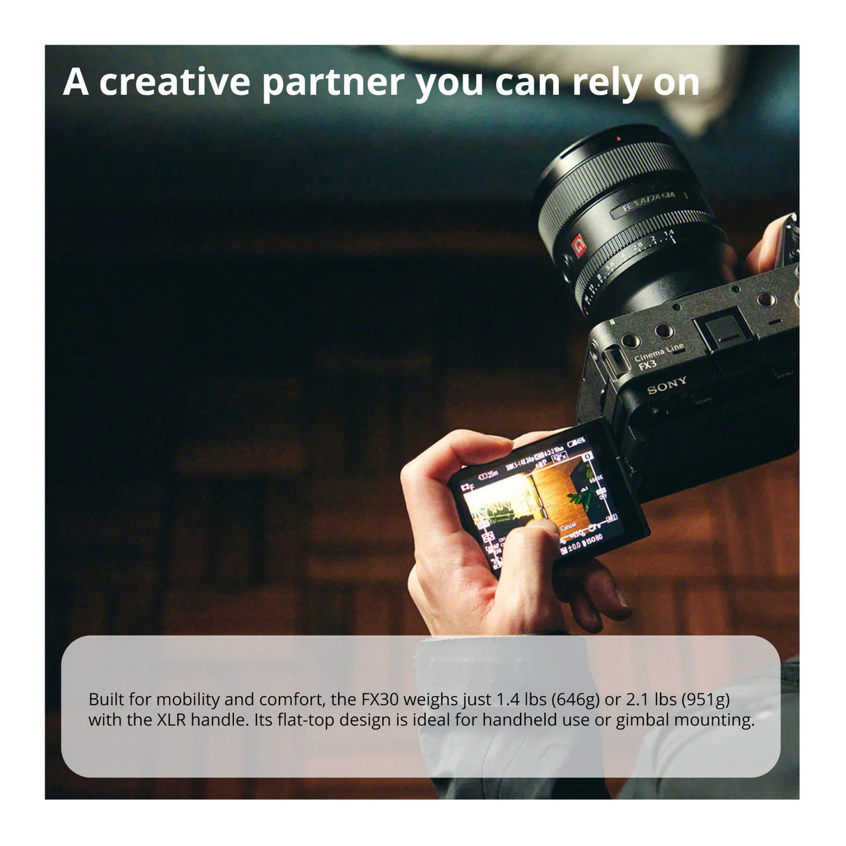 Sony Cinema Line FX30 Super 35 Camera (Body) with Hard Case & 128GB Card Bundle