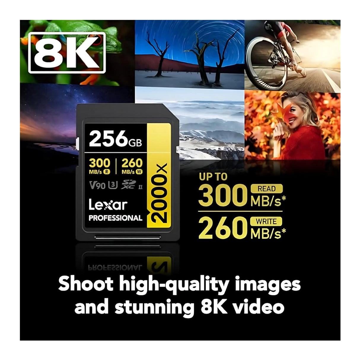 Lexar Professional 256GB 2000x UHS-II SDXC Memory Card Bundle (2-Pack)