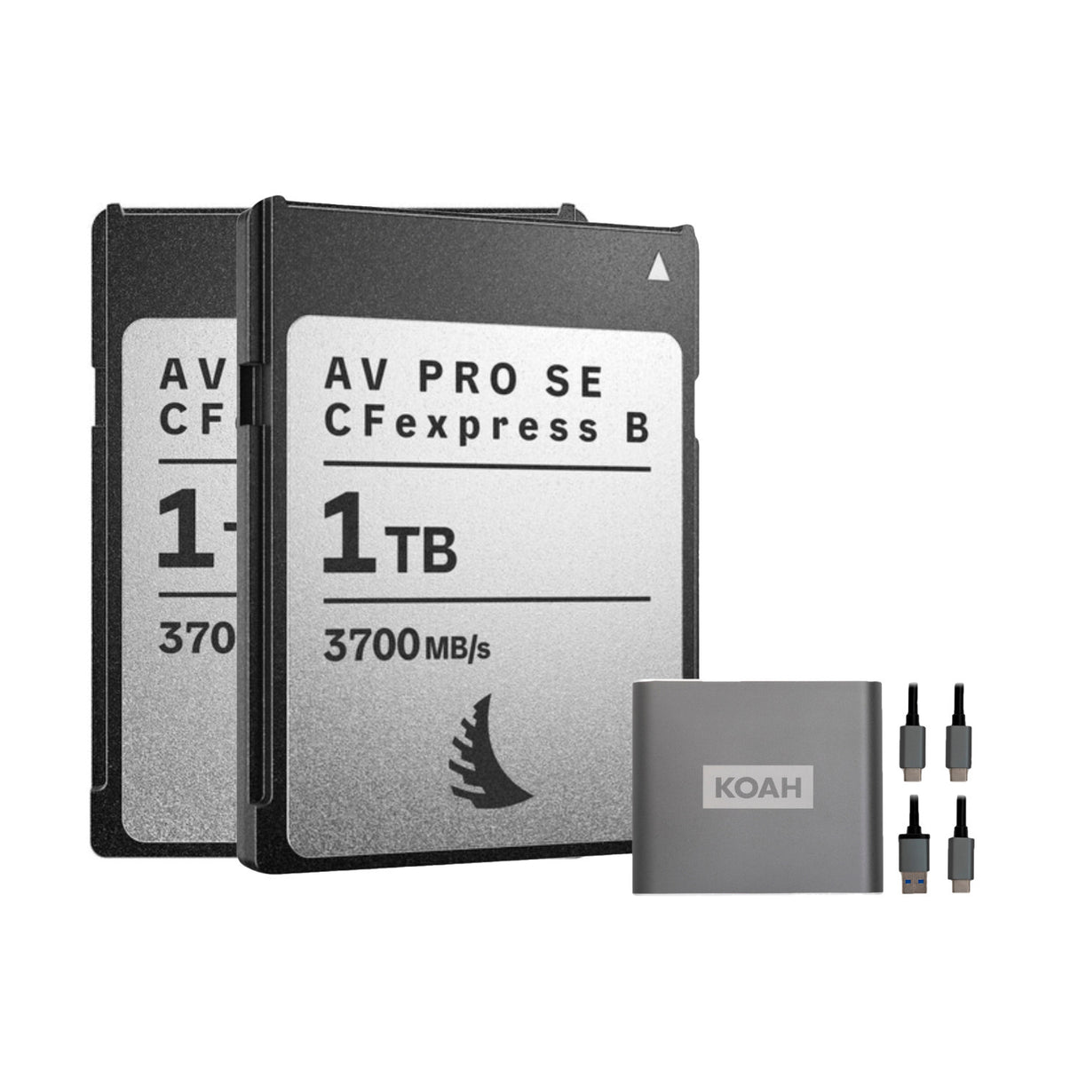 Angelbird AV PRO SE High-Speed Memory Card (2-Pack) Bundle with Reader (3 Items)