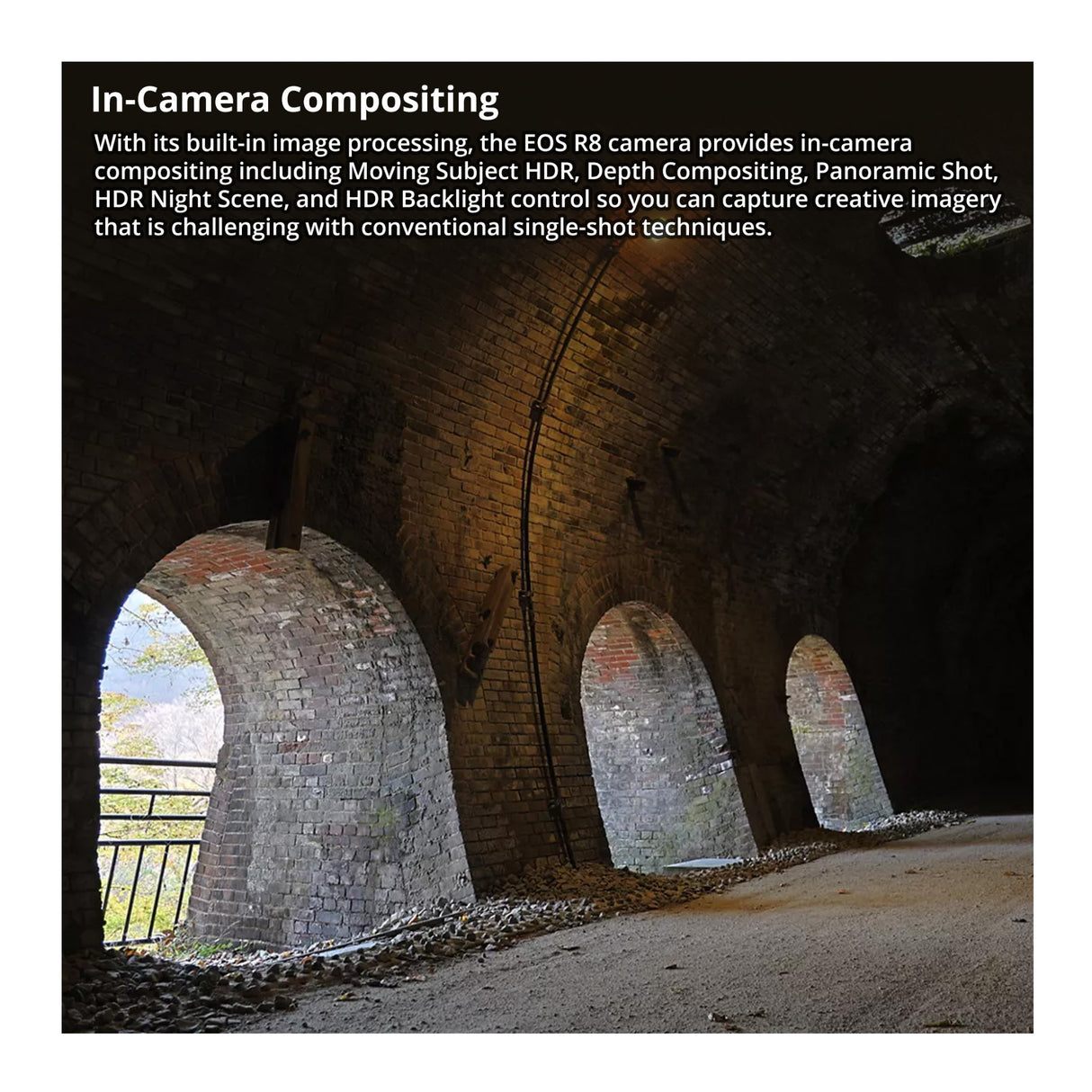 Canon EOS R8 Mirrorless Camera with 128GB SD Card and Software Suite Bundle