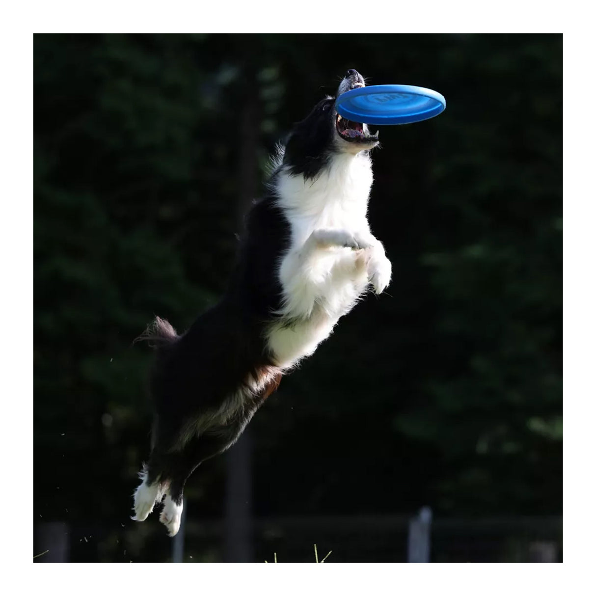 Canon EOS R8 Mirrorless Camera with 128GB SD Card and Software Suite Bundle