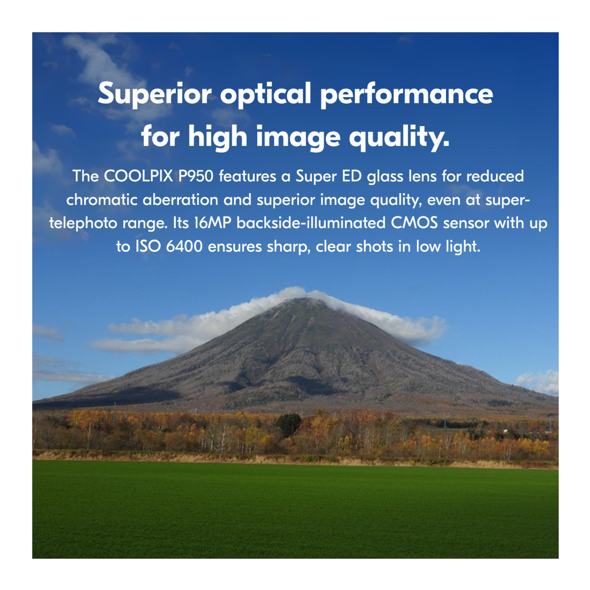 Nikon COOLPIX P950 Digital Camera (Black), Case, Accessories and 128GB SD Card