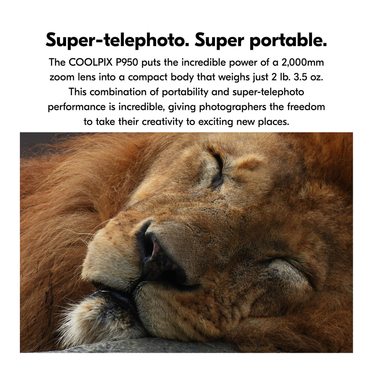 Nikon COOLPIX P950 Digital Camera (Black), Case, Accessories and 128GB SD Card