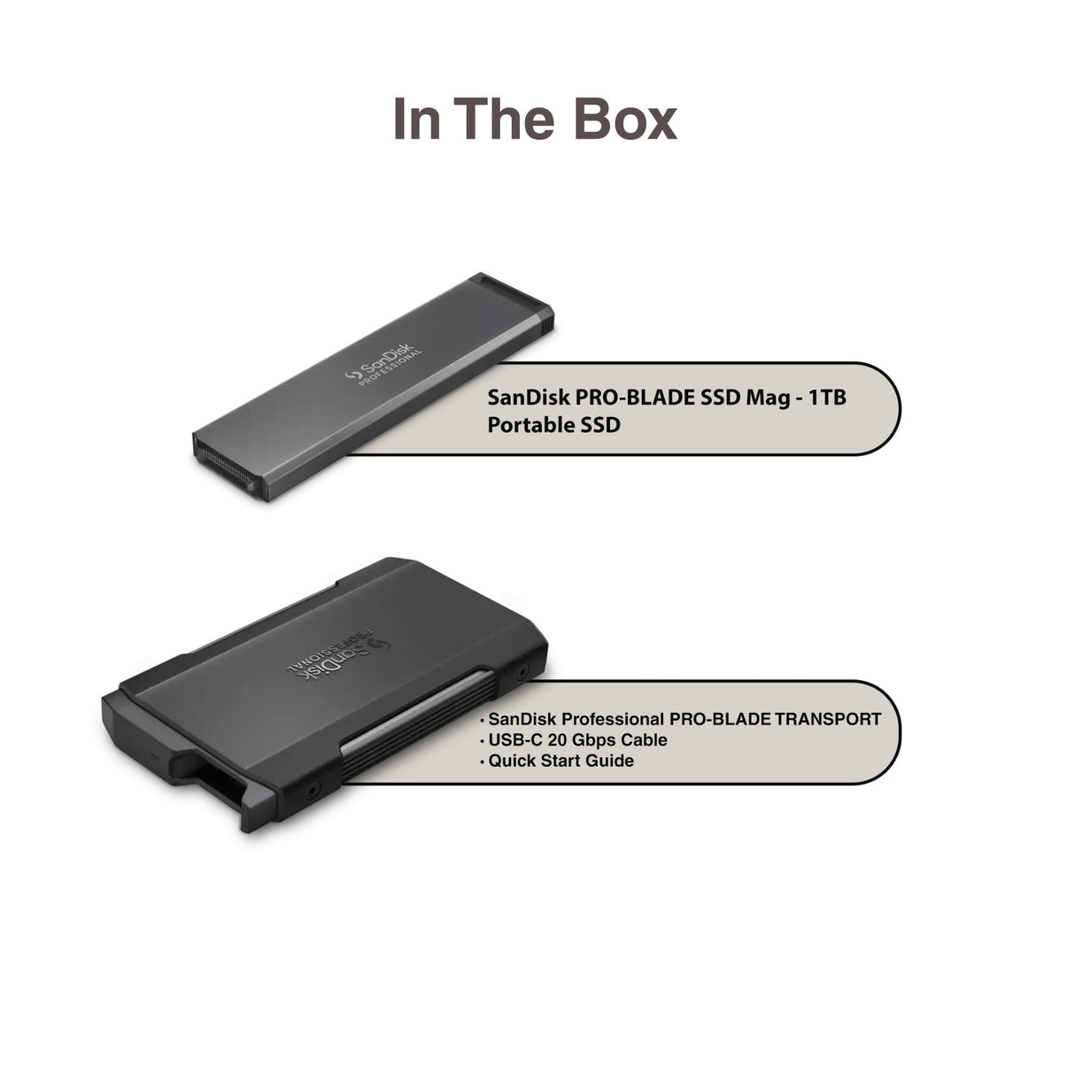 Sandisk Professional 1TB Pro-Blade SSD MAG with Pro-Blade Transport (0 TB)