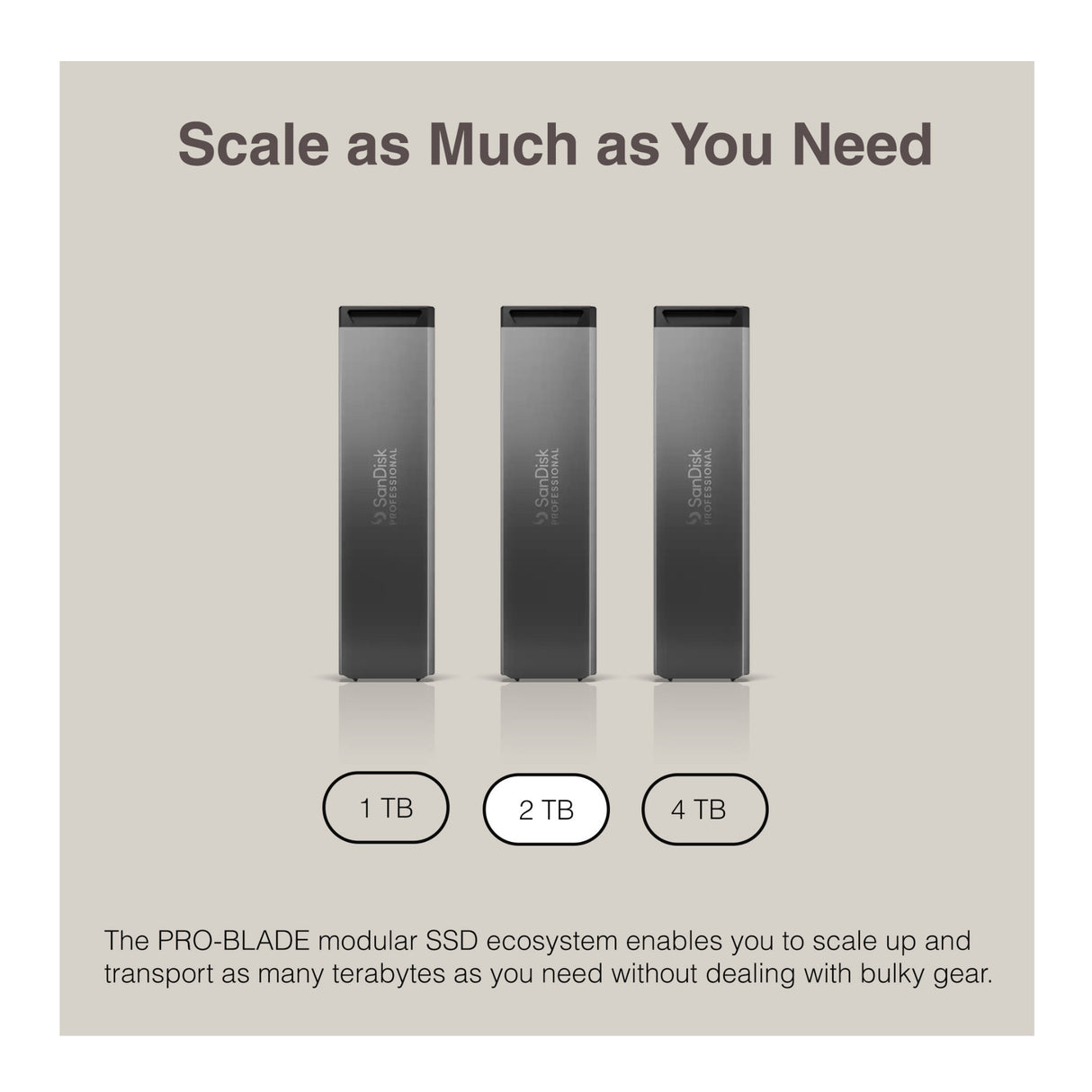 Sandisk Professional 2 TB Pro-Blade SSD MAG NvME with Pro-Blade Transport (0 TB)