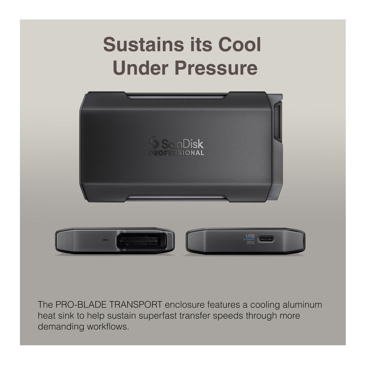 Sandisk Professional 2 TB Pro-Blade SSD MAG NvME with Pro-Blade Transport (0 TB)