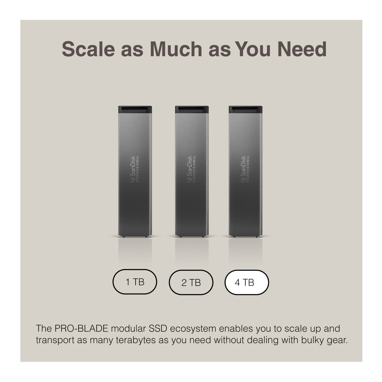 Sandisk Professional 4 TB Pro-Blade SSD MAG NvME with Pro-Blade Transport (0 TB)