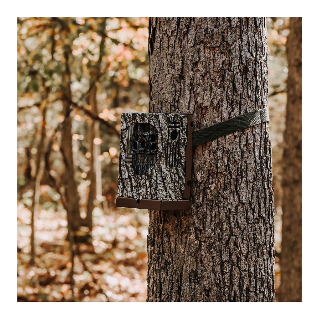 Browning Trail Cameras - Dark Ops FHDR40 (4-Pack) Bundle with Accessories