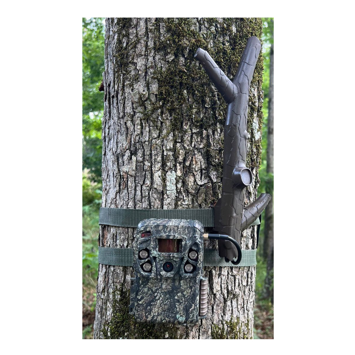 Browning Trail Cameras Long Range Cellular Antenna for Trail Cameras with Boosted Signal Strength