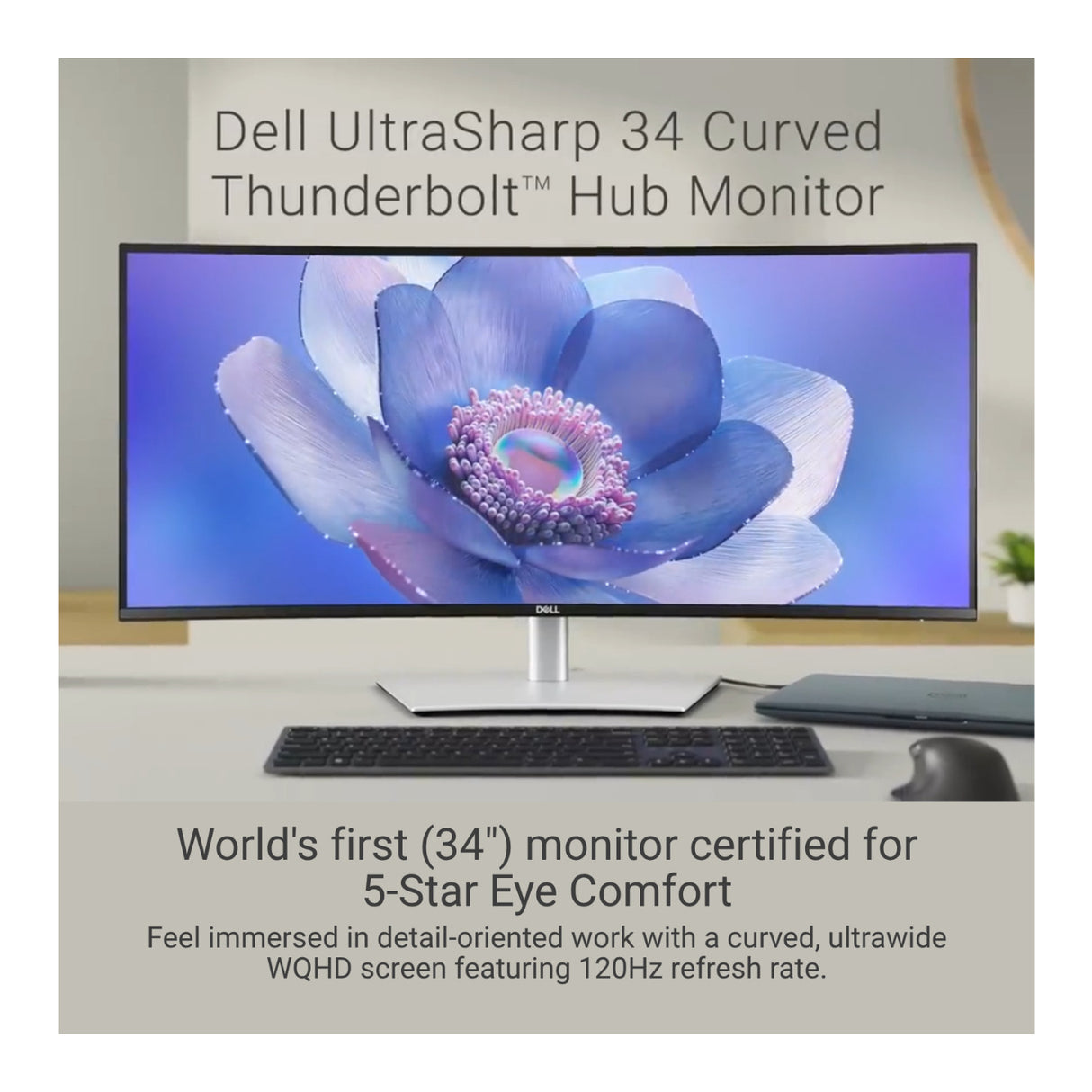 Dell UltraSharp U3425WE 34-In. UW-QHD 21:9 Curved LED Monitor 120Hz Thunderbolt 4 Hub (Black/Silver)