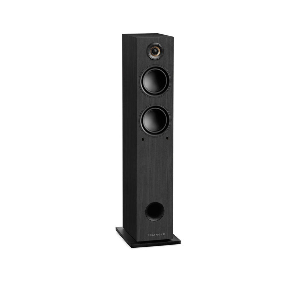 Triangle LN05A Bluetooth Floor Standing Speakers with 2x80W Amp (Black)