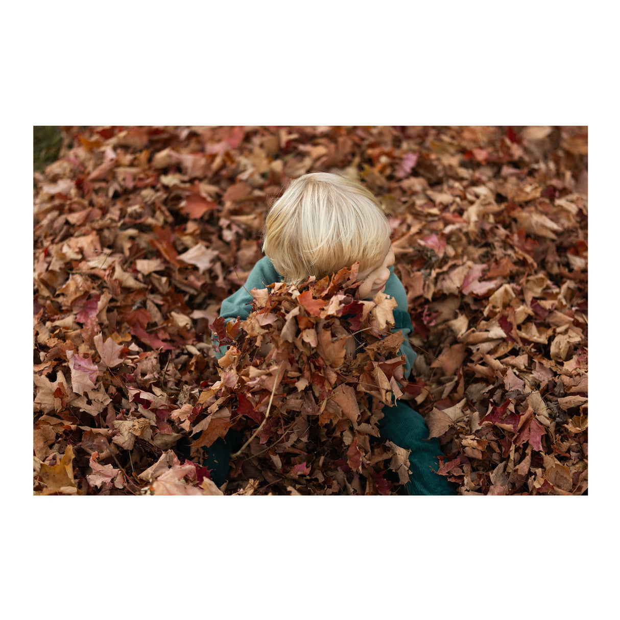 Sigma 56mm F1.4 DC DN Contemporary Lens (Canon RF-Mount) and Accessories Bundle