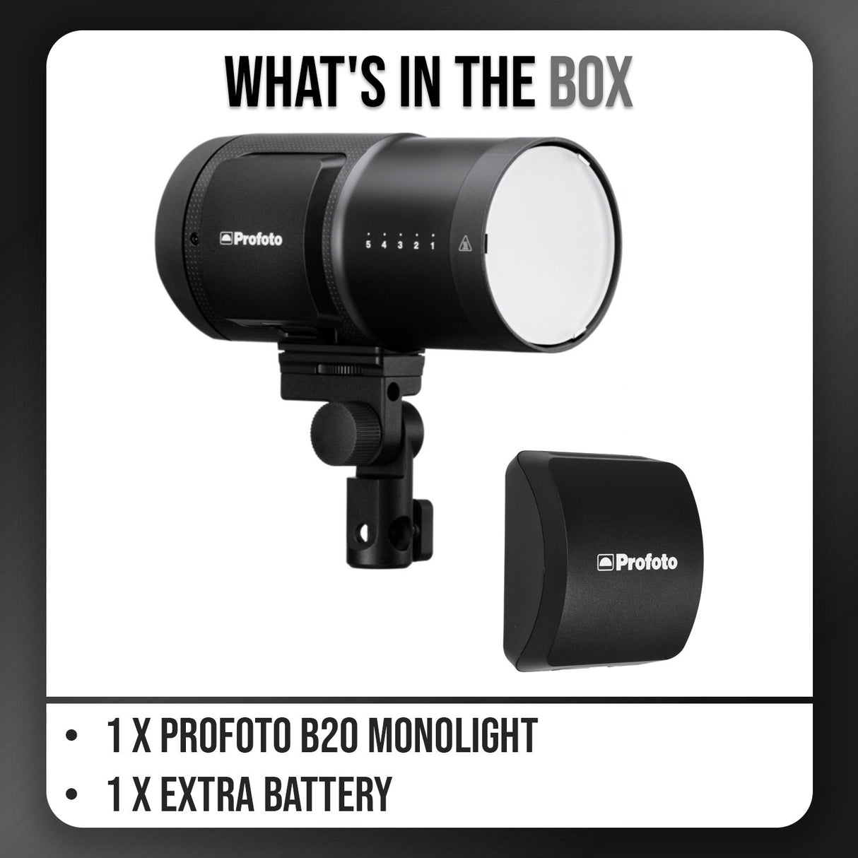 Profoto B20 Monolight Bundle with Extra Battery