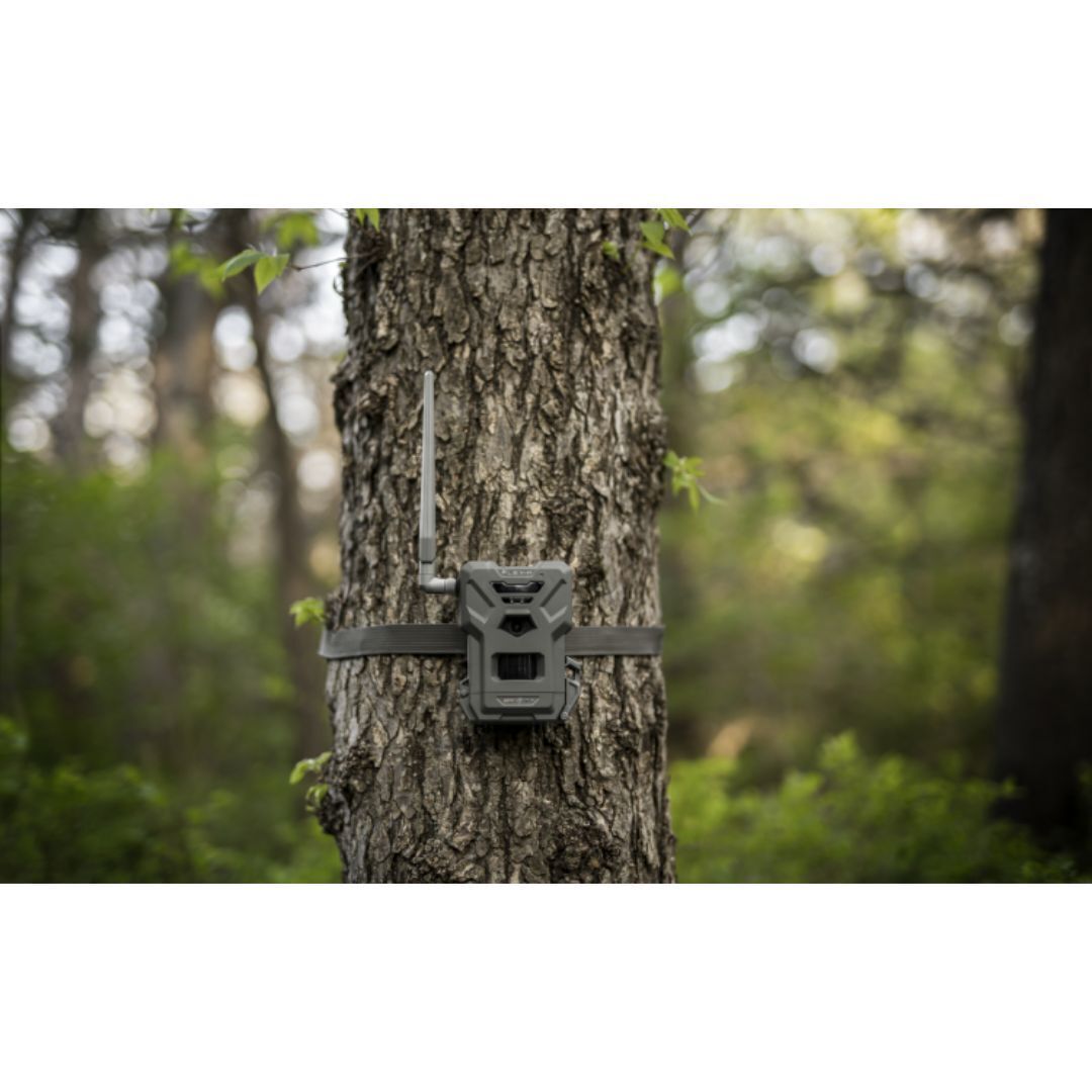 Spypoint FLEX-M Trail Camera Bundle with SPLB Solar Panel and Accessories