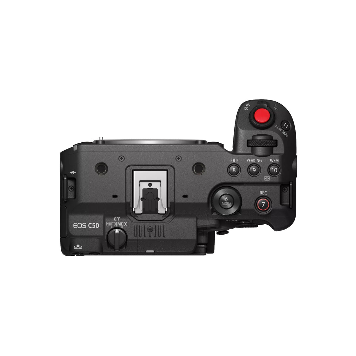 Canon EOS C50 Full-Frame Cinema Camera (Canon RF)